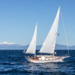 Taup: Sail Barbary Eco Sailing to the Maori Rock Carvings - Who Will Love This Tour?