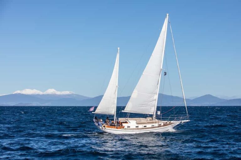 Taup: Sail Barbary Eco Sailing to the Maori Rock Carvings - Who Will Love This Tour?