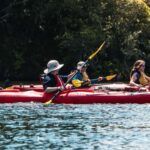 Tauranga: Daytime Scenic Lake McLaren Kayak Tour - What You Can Expect From the Tour