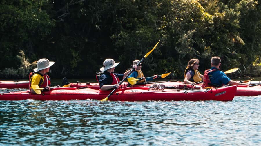 Tauranga: Daytime Scenic Lake McLaren Kayak Tour - What You Can Expect From the Tour
