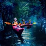 Tauranga: Evening Glowworm Kayak Tour - What’s Included and What to Expect