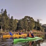 Tauranga: Evening Glowworm Kayak Tour - What Makes This Tour Stand Out