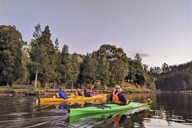 Tauranga: Evening Glowworm Kayak Tour - What Makes This Tour Stand Out