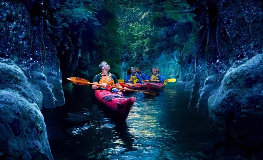 Tauranga: Evening Glowworm Kayak Tour - What’s Included and What to Expect