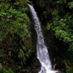 Tauranga: Kiwifruit Destination and Sights Shore Excursion - Transportation and Group Size