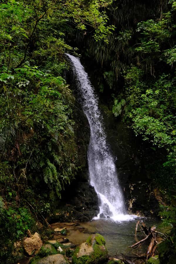 Tauranga: Kiwifruit Destination and Sights Shore Excursion - Transportation and Group Size