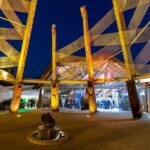 Tauranga Private Excursion: Rotorua -Te Puia-Geysers & Kiwi's - The Itinerary in Detail