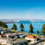 Tauranga Shore Excursion: Top Half Day Curated Highlights Tour - Scenic Viewpoints: Minden Lookout