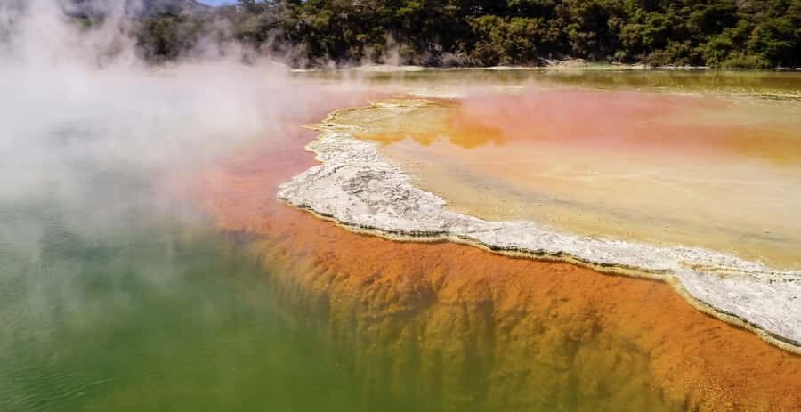 Tauranga: Wai-o-Tapu with Redwood Forest Walk or Forest Spa - What’s the Value?