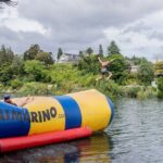 Tauranga: Waimarino Adventure Park - The Cost-Value Balance