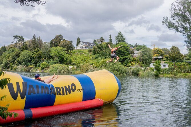 Tauranga: Waimarino Adventure Park - The Cost-Value Balance