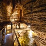 Te Anau Glow Worm Caves Tour - The Bottom Line: Is It Worth It?