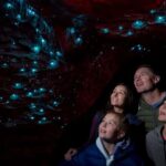 Te Anau: Glowworm Caves Guided Tour - Practical Details for Planning Your Visit