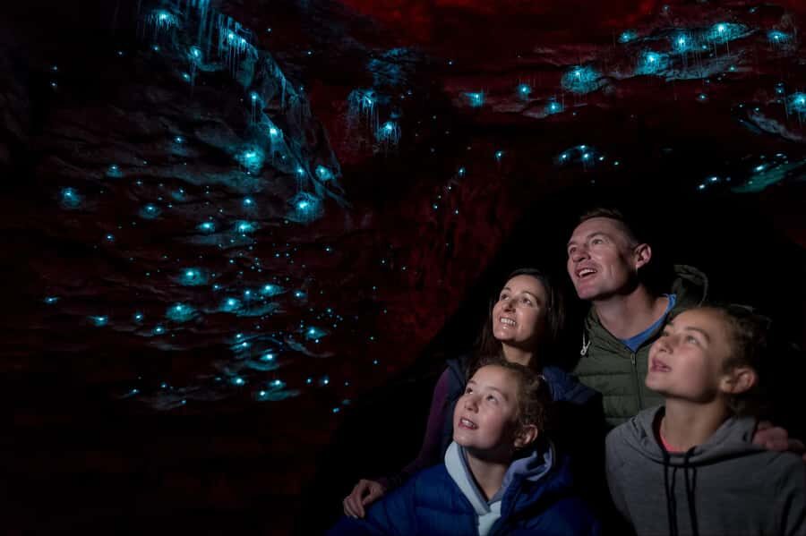 Te Anau: Glowworm Caves Guided Tour - Practical Details for Planning Your Visit