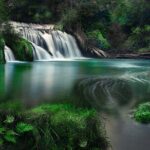 Te Mata Explorer Private Tour from Napier Cruise Port - Practical Details: What to Expect