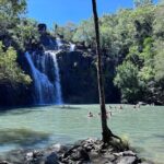 The Airlie Sightseeing Bus  (Cruise-Ship Friendly) - The Transport and Logistics Matter