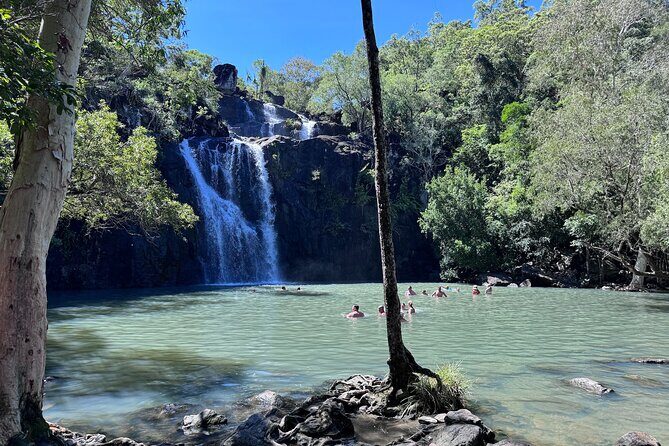 The Airlie Sightseeing Bus  (Cruise-Ship Friendly) - The Transport and Logistics Matter