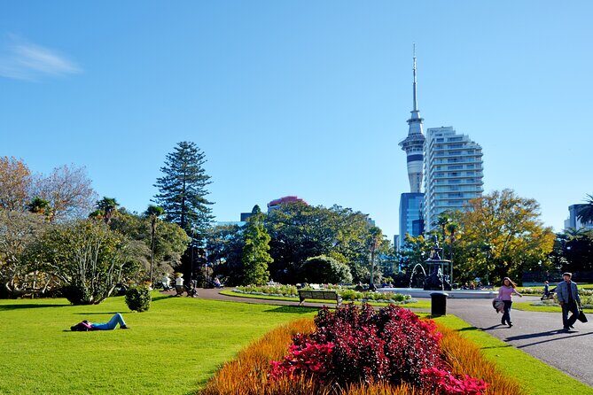 The best of Auckland private walking tour - What It Means for You as a Traveler