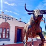 The Big Wave Rock Private Day Tour - The Experience in Detail