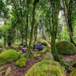 The Boulders Scenic Half Day Float on the Rangitikei River - Practical Details and What to Expect