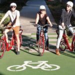 The Classic: Discover Amazing Auckland on an Electric Bike - Why This Tour Offers Great Value