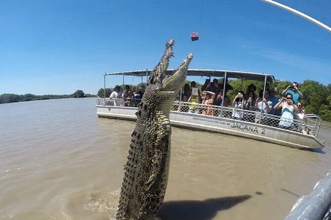 The Croc Bus to the Famous Jumping Crocodile Cruise - The Sum Up