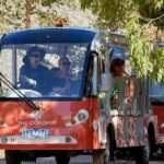 The Explorer - Cranbourne Gardens - A Deep Dive into the Experience