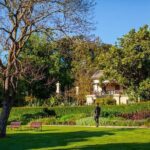 The Explorer - Melbourne Gardens - In-Depth Review of the Melbourne Gardens Explorer Tour