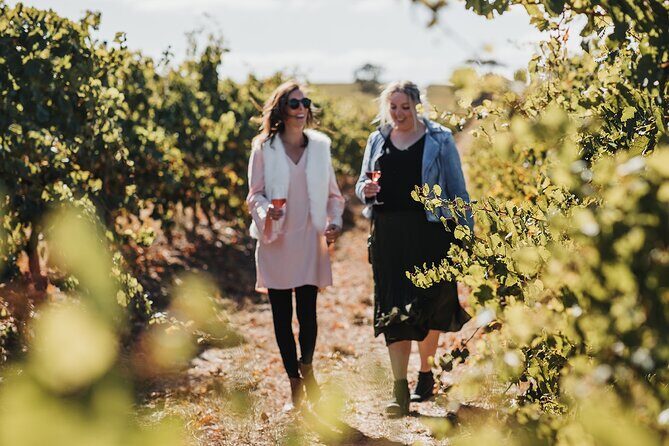 The Florita Wine Tasting Experience - Authentic Experiences and Authenticity