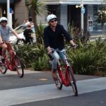 The Inside Loop: See Auckland's Coolest Neighbourhoods - What Makes This Tour Special?