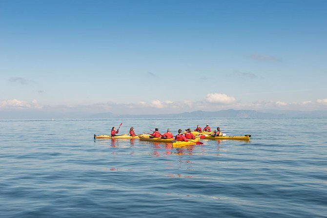 The Maori Carvings Half Day Kayak - What’s Included and What’s Not