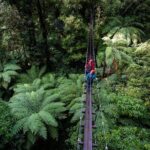 The Ultimate Canopy Zipline Experience Private Tour From Auckland - Who Would Love This Tour?