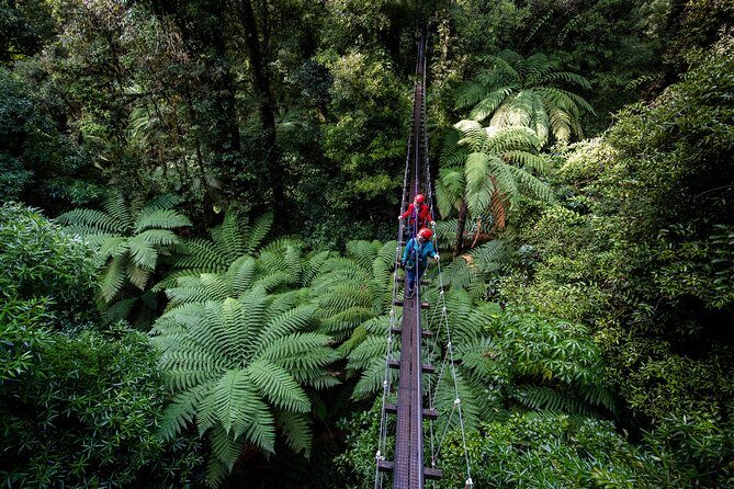 The Ultimate Canopy Zipline Experience Private Tour From Auckland - Who Would Love This Tour?