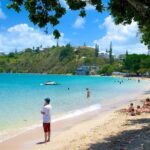 The Unmissable Tour - What the Reviews Say