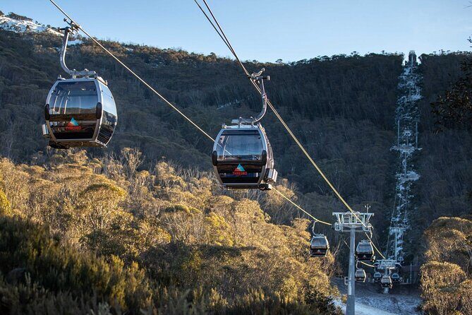 Thredbo or Perisher Bus Trip from Canberra - The Experience on the Day