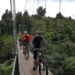 Timber Trail - Ongarue to Pureora Shuttle 2 Day Ride - Pricing & Value