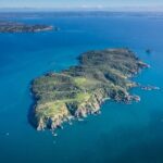 Tiritiri Matangi Island Discovery - from Auckland - Why This Tour Delivers Good Value