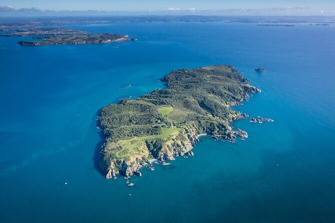 Tiritiri Matangi Island Discovery - from Auckland - Why This Tour Delivers Good Value