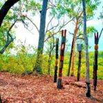 Tiwi Islands Cultural Experience from Darwin Including Ferry - Transportation and Practicalities