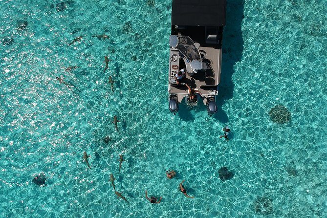 Toa Boat Bora Bora Private Lagoon Tour On Entertainer Bar Boat - Why Choose the Toa Boat Bora Bora Private Lagoon Tour?