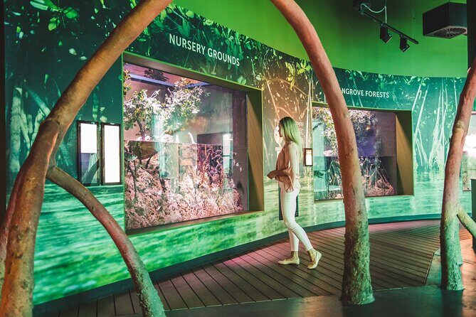 Tomb of the Pharaohs and Cairns Aquarium Combo - The Value Proposition