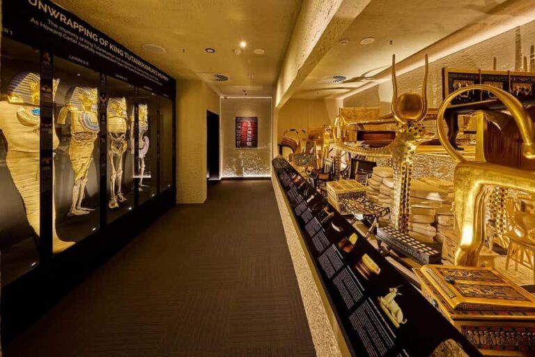 Tomb of the Pharaohs Entry Ticket - An In-Depth Look at What You Can Expect