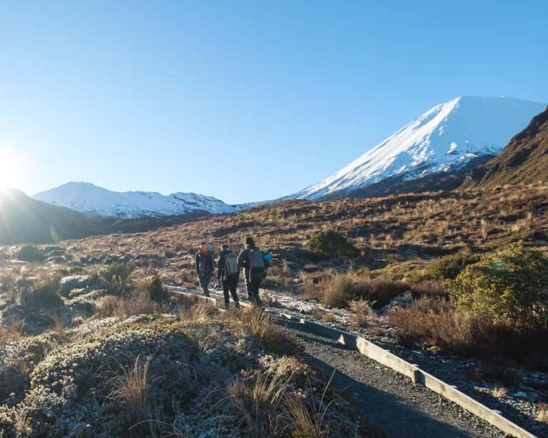 Tongariro Alpine Half Day Guided Group Walk - Detailed Itinerary Breakdown