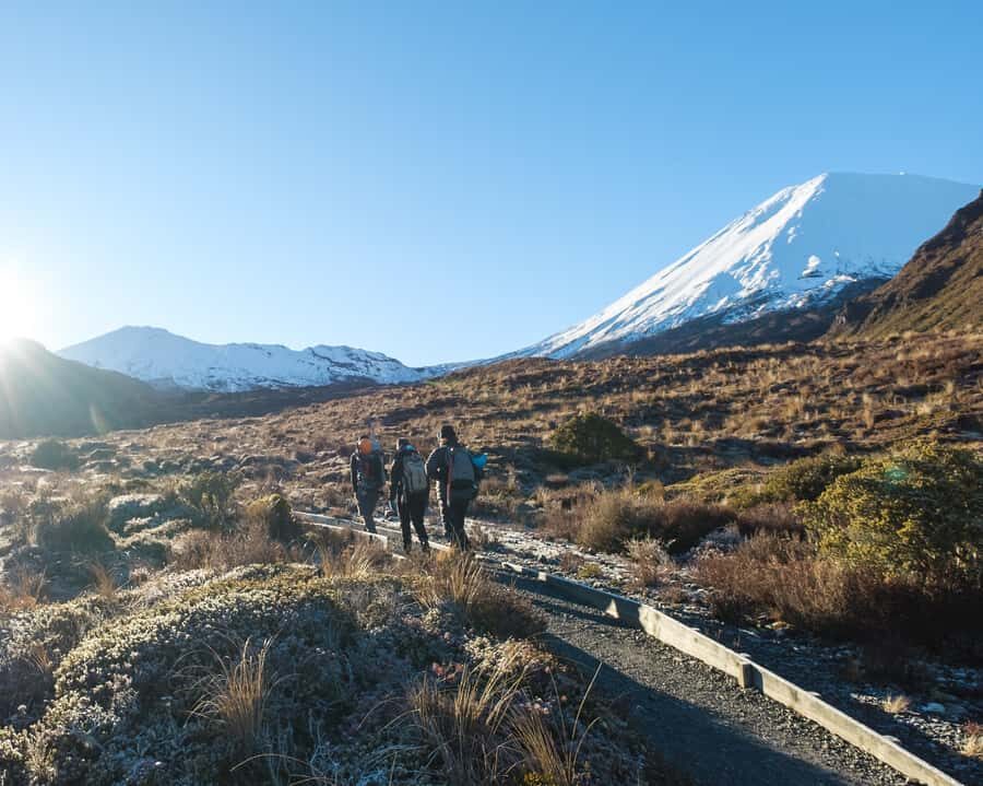 Tongariro Alpine Half Day Guided Group Walk - Detailed Itinerary Breakdown