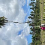 Tongatapu West Coast N East Coast Island Tour - Transportation & Group Size