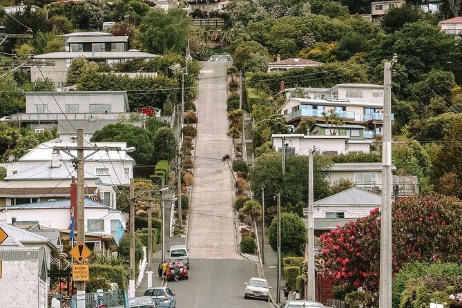 Totally Local Wildscene Private Shore Excursion With 8 travelers - What You Can Expect at Each Stop