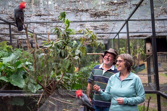 Tour from Eden to Merimbula Wetlands Wildlife and Coastline - Practical Details and Value