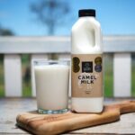 Tour, Taste & Camel Encounter - Value and Practicalities