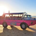 Town 1770: Afternoon Coastline Tour - Who Will Love This Tour?