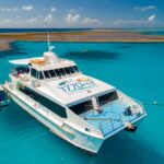 Town of 1770: Lady Musgrave Island Snorkelling Day Cruise - What Reviewers Love Most